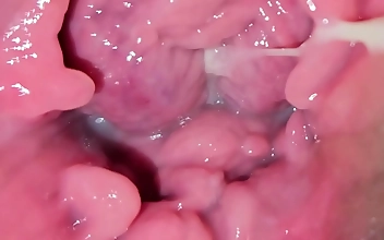 Japanese Beauty Explores Her Vulva: A Private Excursion Into Female Pleasure